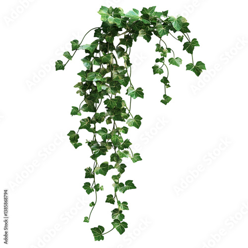 3D Ivy Vine with Small Rounded Leaves Climbing Up Isolated on Transparent Background