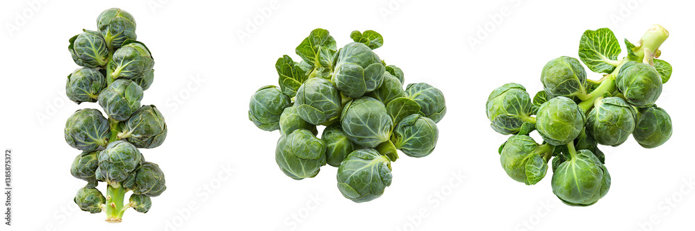 Fototapeta premium Three fresh Brussels sprouts arrangements.