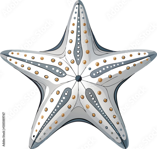 Detailed Illustration of a Starfish with Decorative Elements.