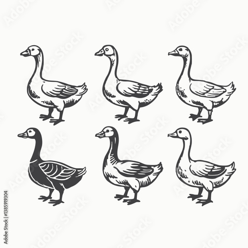 Set of colored vector doodles of geese, ducks in different poses Vector Hand Drawn Illustration Isolated On Transparent Background