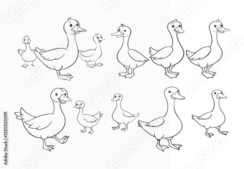 Set of grey Goose birds in different poses and colors isolated on white background.