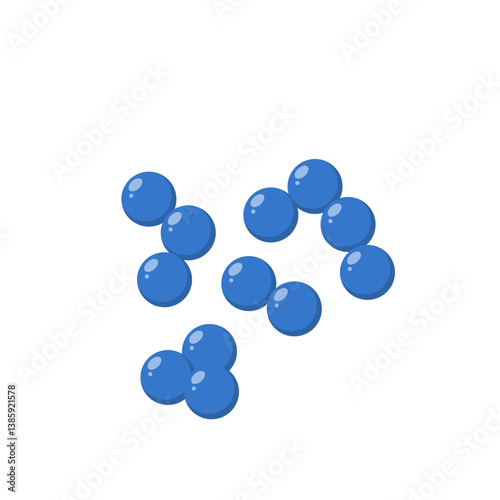 Cocci bacteria microbiology. Vector illustration in flat style.