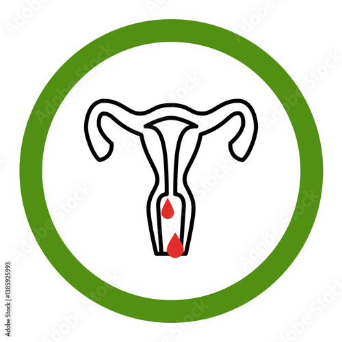 Female Reproductive System During Menstruation Icon