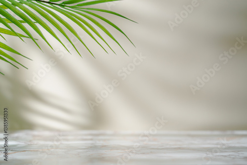 Shadow of tropical palm leaves on white wall. Minimal abstract light white background for product presentation.
