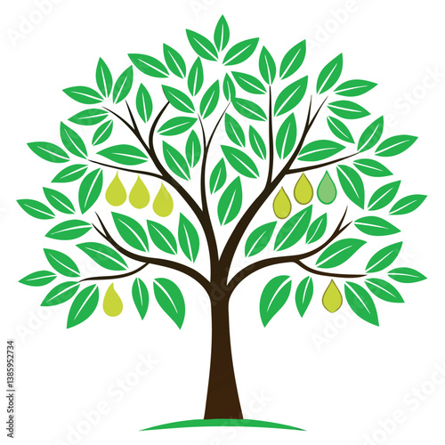 Guava-tree-illustration-vector-design