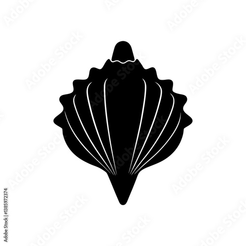 seashell isolated on black