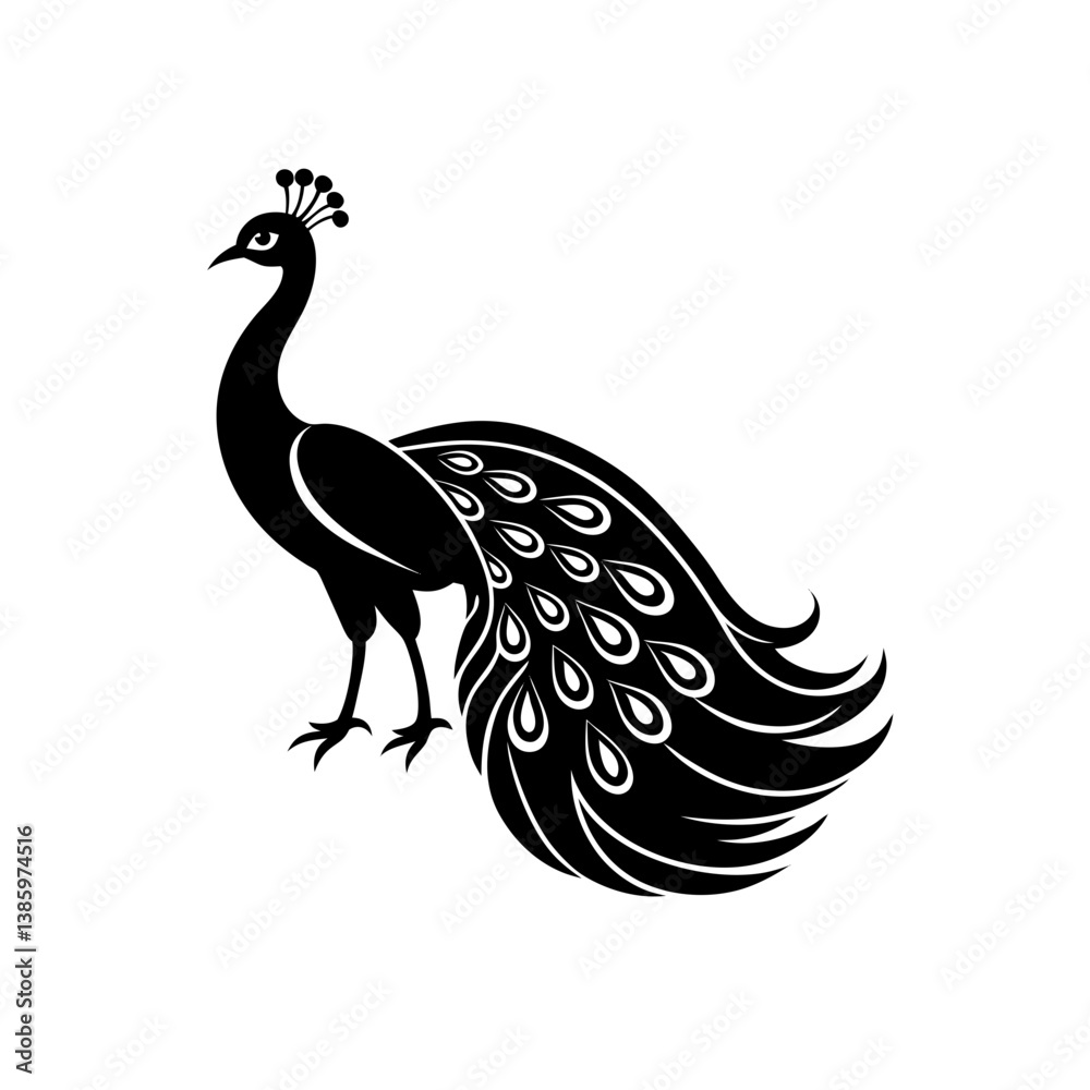 Fototapeta premium peacock vector illustration