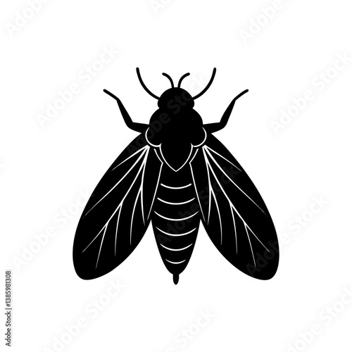 fly isolated on white background