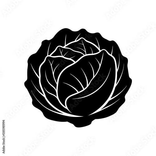 cabbage isolated on white