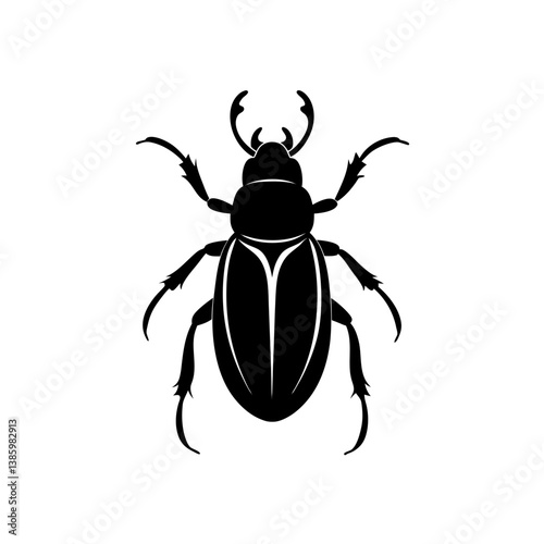 black beetle isolated on white