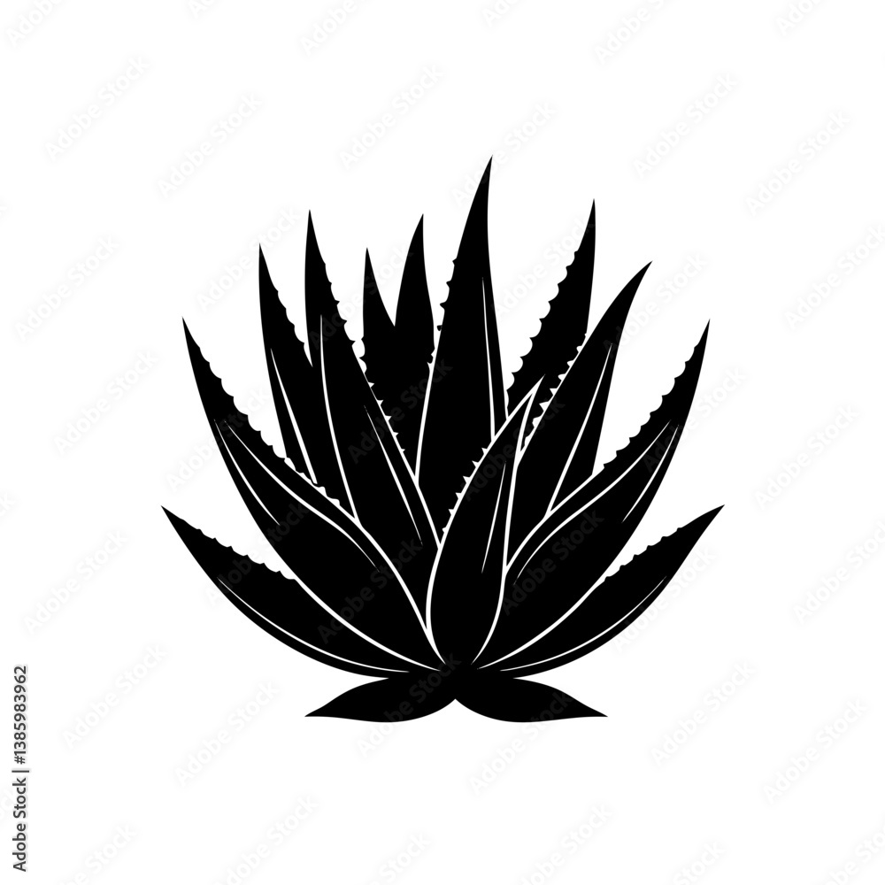 cannabis leaf vector illustration cannabis leaf vector illustration