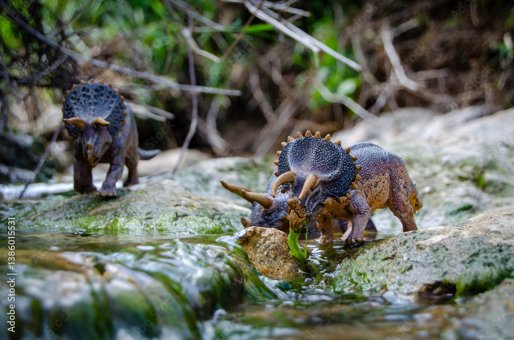 A realistic scene of Triceratops horridus models near a stream in a prehistoric setting. Ideal for paleontology, education, and natural history themes. Detailed and lifelike diorama A realistic scene of Triceratops horridus models near a stream in a prehistoric setting. Ideal for paleontology, education, and natural history themes. Detailed and lifelike diorama