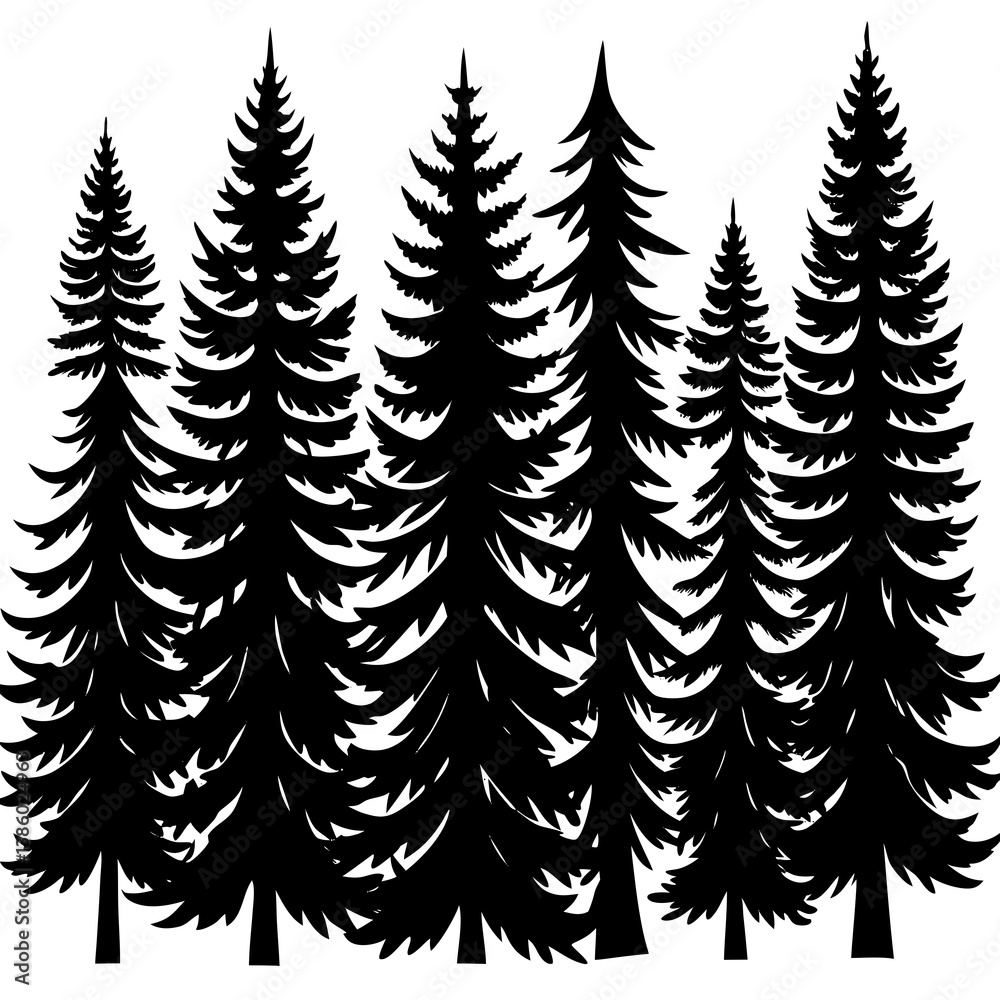 Obraz premium Misty evergreen forest, tranquil and serene