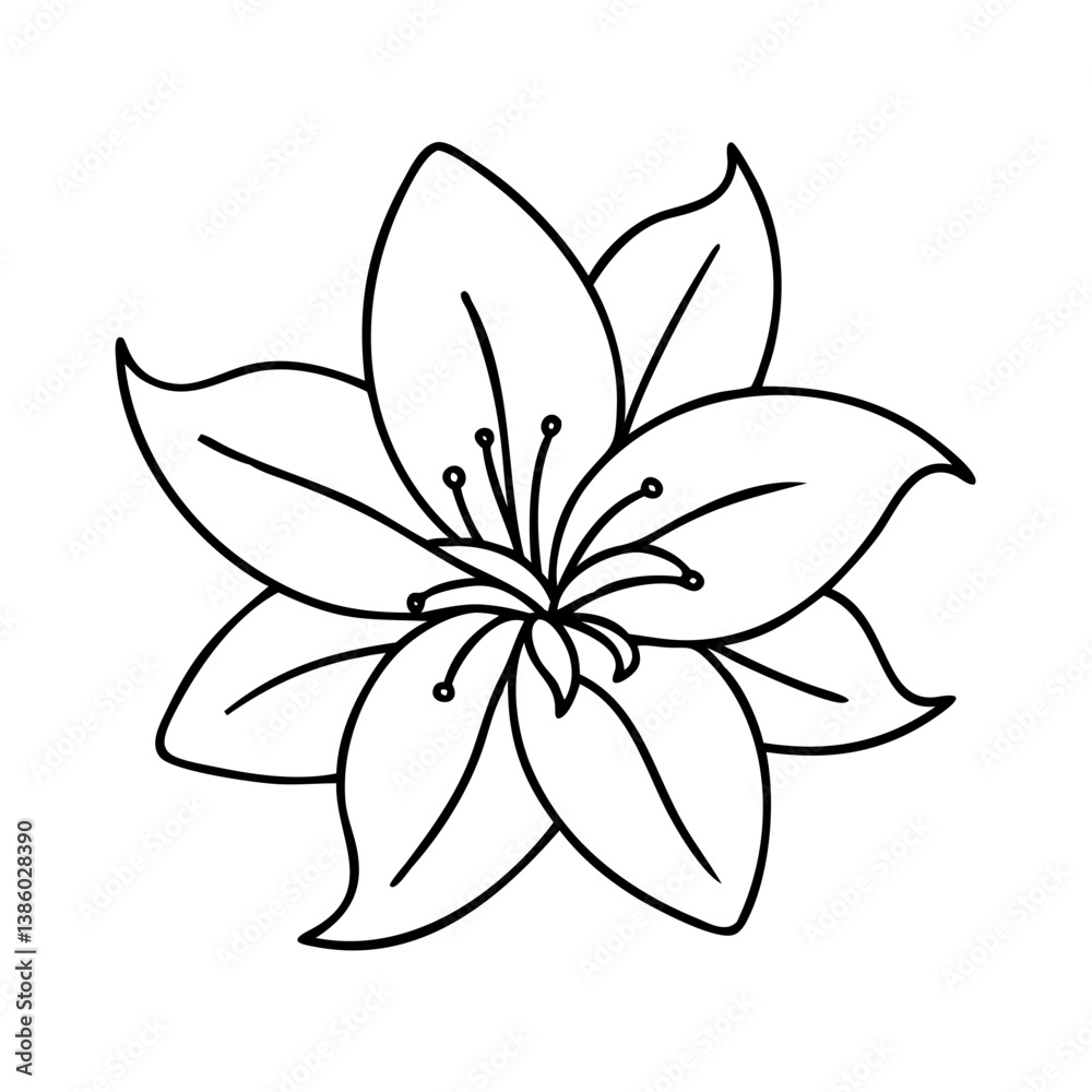 Obraz premium lily flower icon, lily flower line art - simple line art of lily flower, perfect for lily flower logos and icons