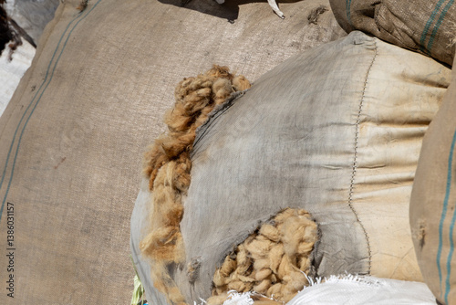 Bag filled with raw sheep wool outdoors, used for textile production – Austria, Ötztal, 20. März 2025