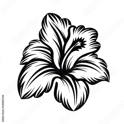 Black and White Hibiscus Flower Blossom with Petals 