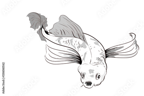 sketch image of a goldfish on a white background