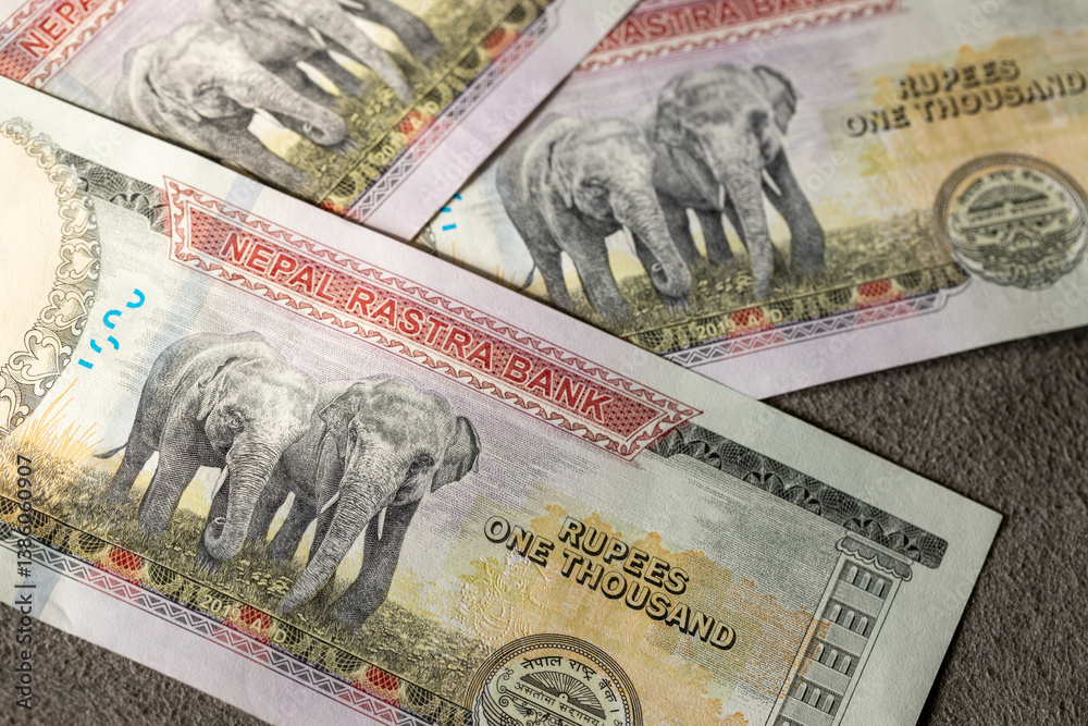 Nepal money. One thousand Nepalese rupee banknotes. Elephant on Nepalese currency. Financial success. Business concept. close up