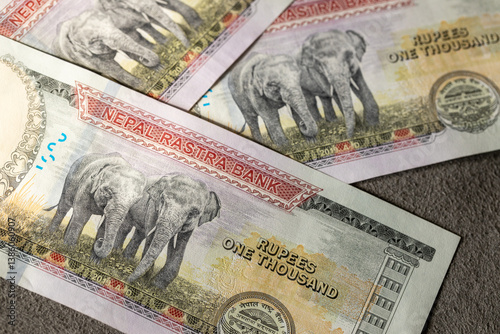 Obraz na płótnie Nepal money. One thousand Nepalese rupee banknotes. Elephant on Nepalese currency. Financial success. Business concept. close up w salonie