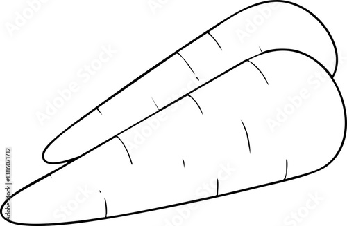 Hand Drawn Carrot Illustration illustration