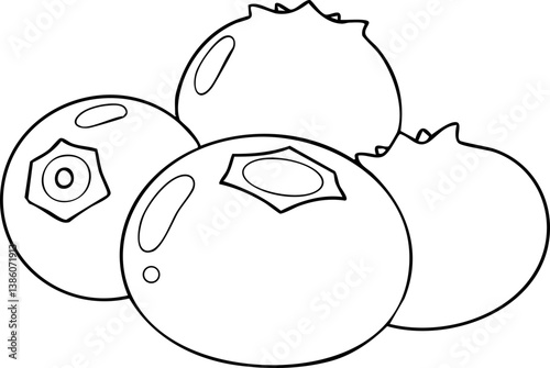 hand drawn Persimmon Illustration illustration