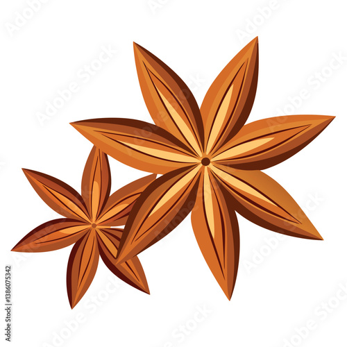 Star anise and cinnamon vector art illustration
