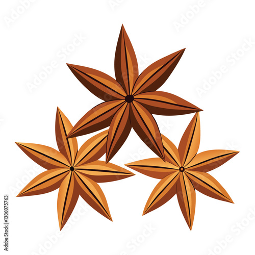 Star anise and cinnamon vector art illustration