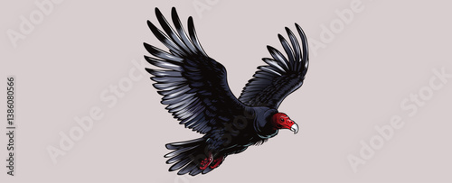 turkey vulture - red vulture - vulture vector