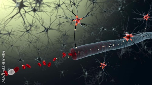 Medical Animation - Drug Crossing Blood Brain Barrier 4K Video