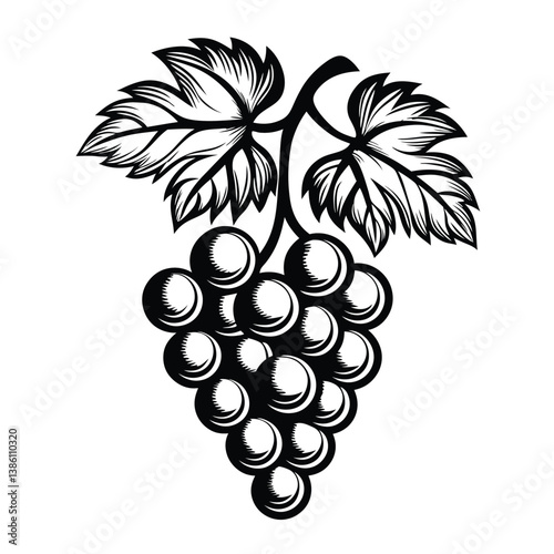 Engraved Grape Bunch with Leaves in Black and White d