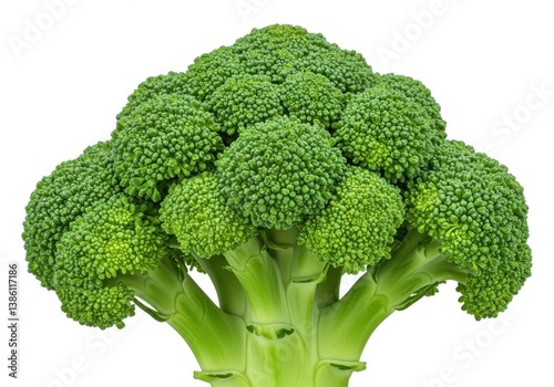 Photorealistic broccoli vibrant green detailed isolated white background