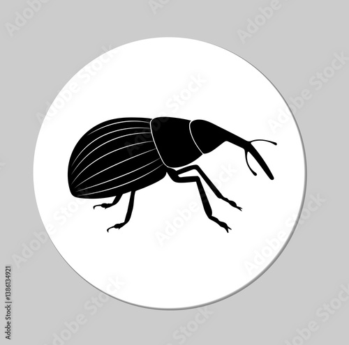 Weevil sticker. Vector illustration of insect pests on white background. Isolated black icon. Outline, logo, marker, label