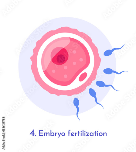 Sperm cells approaching an egg cell in a simplified flat style on a white background, representing embryo fertilization in human reproduction. Vector illustration