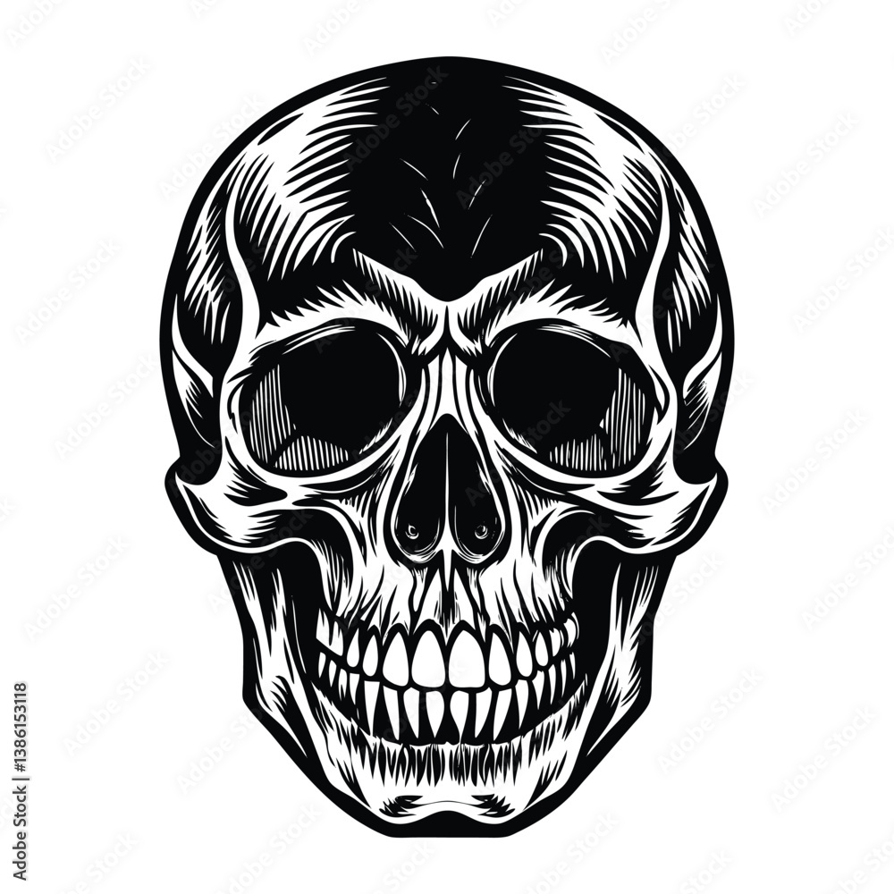 Fototapeta premium human skull vector illustration