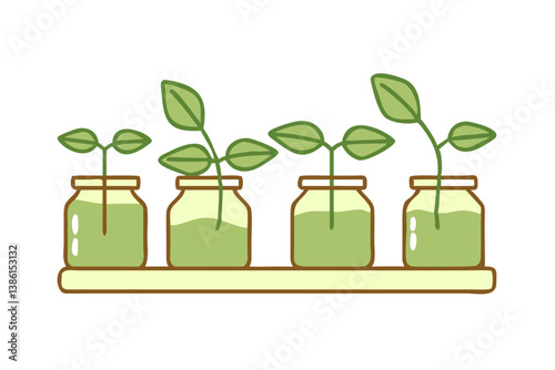 Seedling Growth Stages Four Sprouts In Jars On Shelf Black Background