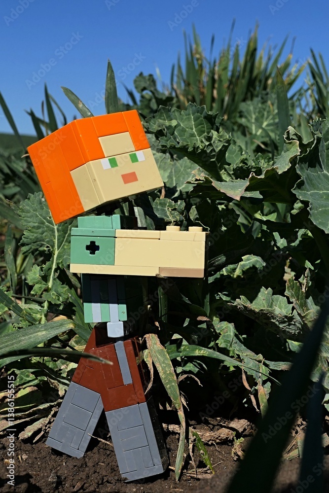 Obraz premium Detail of LEGO Minecraft figure of main character Alex examining Sea Kale vegetable plant, latin name Crambe Maritima, on early spring field, sunlit by daylight sunshine, blue skies in background. 