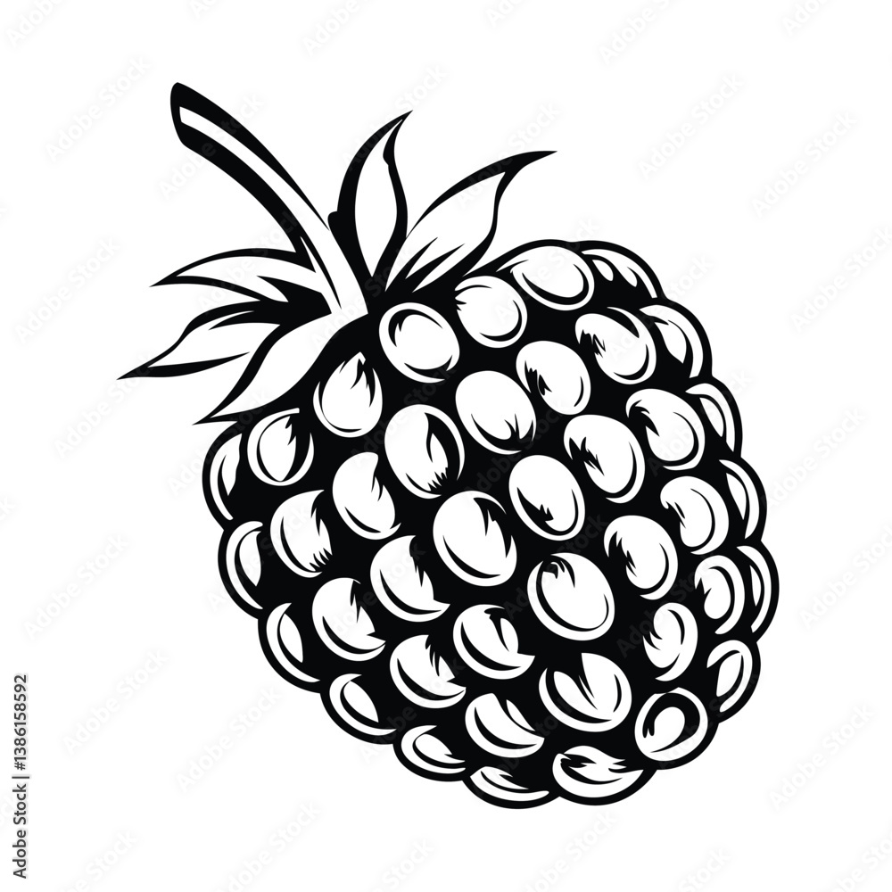 Obraz premium Detailed Monochrome Raspberry Design 
