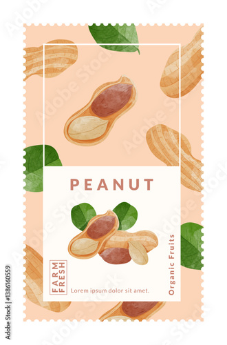 Peanut packaging design templates, watercolour style vector illustration.