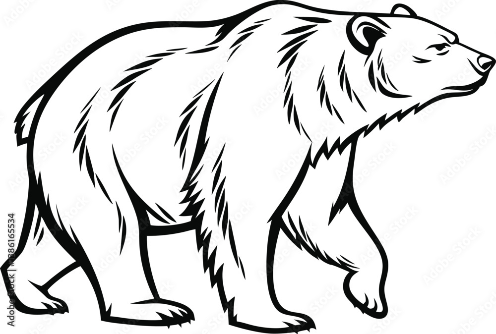 Obraz premium Black bear vector illustration with detailed features and sketch style, showcasing the wild mammal's face and fur, ideal for nature and wildlife themes