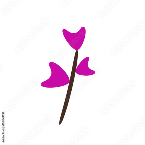 purple tulip