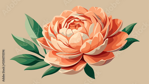 Peachy peony flower on neutral pastel beige background. Minimal stylish still life floral composition