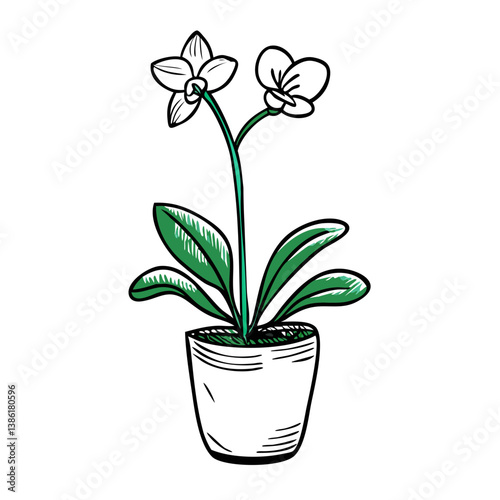 Potted orchid flowers flourishing in a decorative pot  