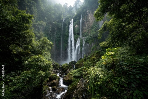 Rainforest waterfall, lush and invigorating