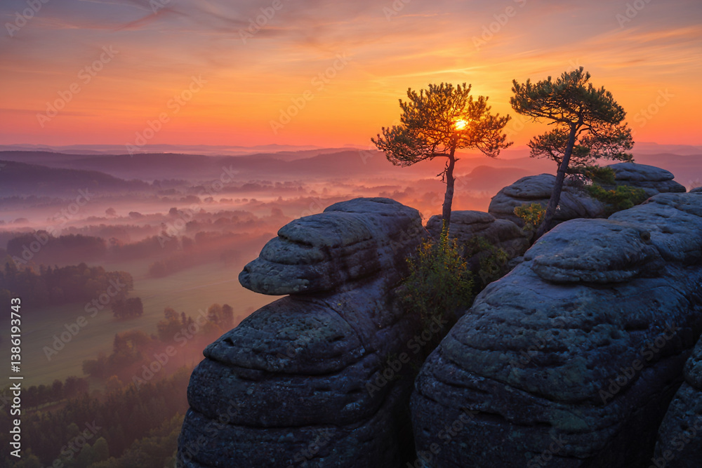 Sunrise on top of mountains, pine trees, foggy valley below, colorful sky, beautiful landscape with mountains