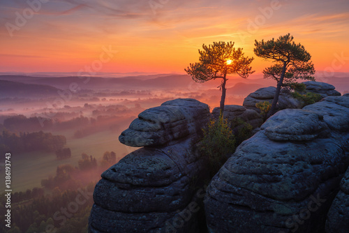 Obraz na płótnie Sunrise on top of mountains, pine trees, foggy valley below, colorful sky, beautiful landscape with mountains w salonie