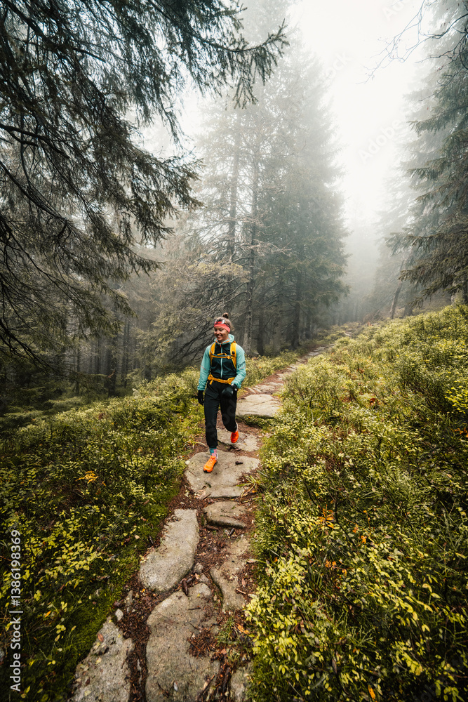 Obraz premium Liptov region hiking in jasna in Low Tatras mountains landscape, slovakia.
