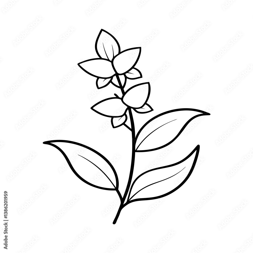 Obraz premium Angelonia black and white floral design 