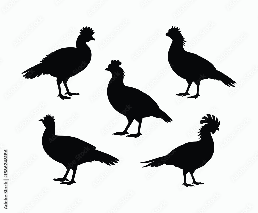 Obraz premium Junglefowl Silhouette Simple EPS Vector Template