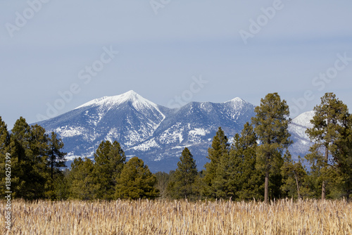  san francisco peaks