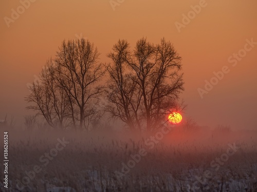 Fantastic sunset with red mist from the setting sun.